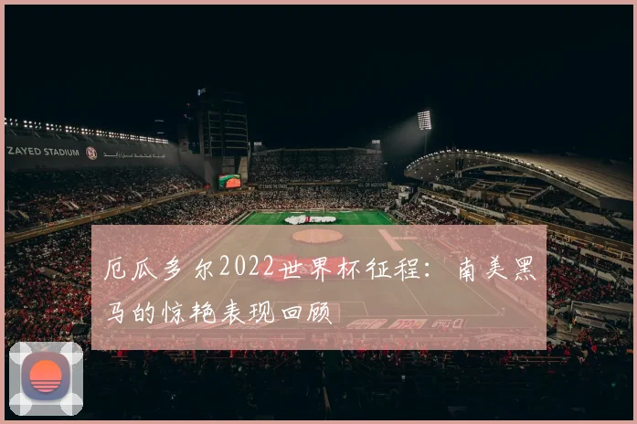 厄瓜多尔2022世界杯征程：南美黑马的惊艳表现回顾