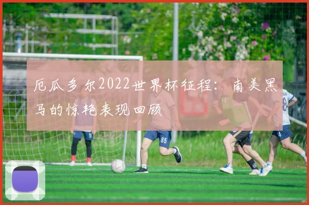 厄瓜多尔2022世界杯征程：南美黑马的惊艳表现回顾