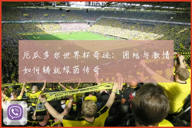 厄瓜多尔世界杯奇迹：团结与激情如何铸就绿茵传奇