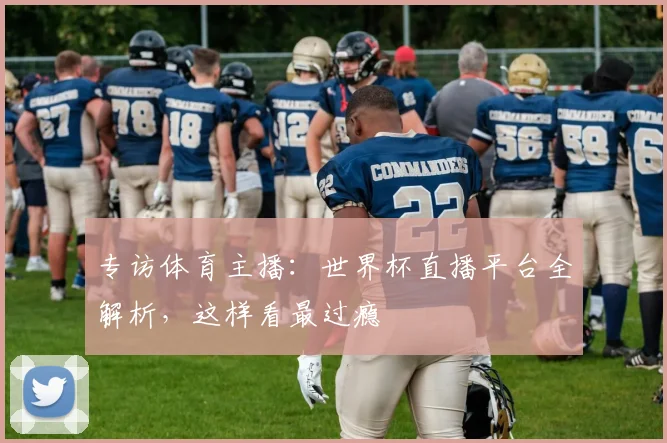 专访体育主播:世界杯直播平台全解析,这样看最过瘾