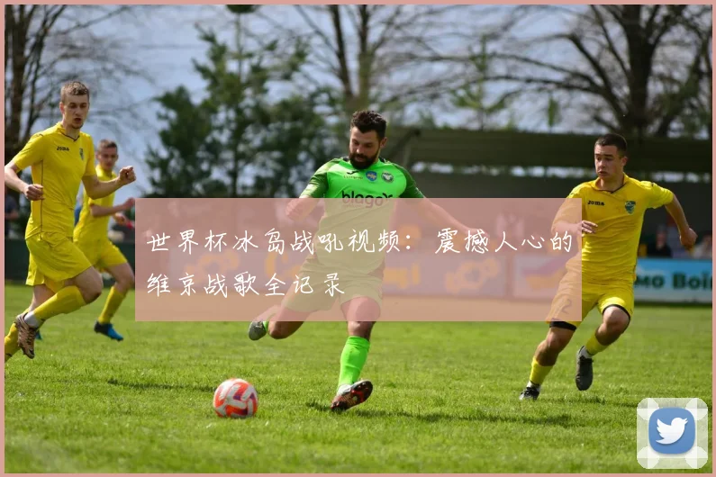 世界杯冰岛战吼视频:震撼人心的维京战歌全记录