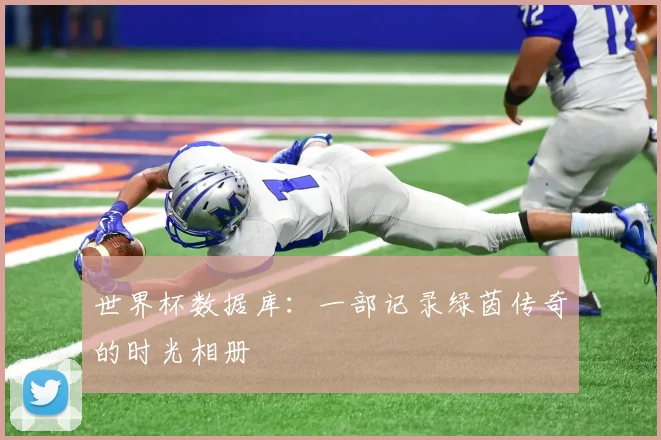 世界杯数据库:一部记录绿茵传奇的时光相册