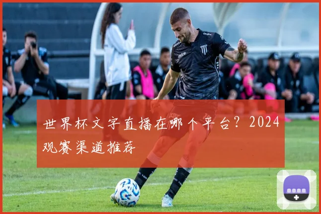世界杯文字直播在哪个平台?2024观赛渠道推荐