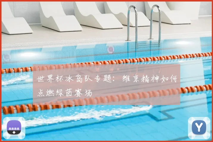 世界杯冰岛队专题：维京精神如何点燃绿茵赛场