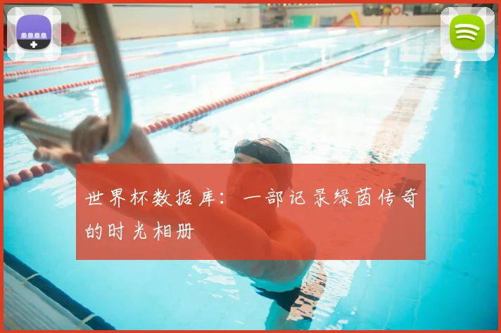 世界杯数据库:一部记录绿茵传奇的时光相册