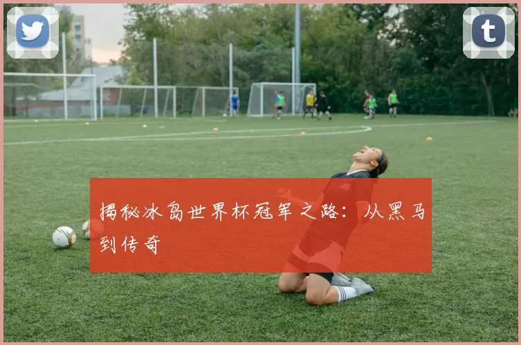 揭秘冰岛世界杯冠军之路：从黑马到传奇