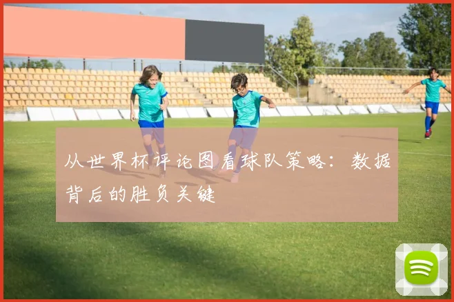 从世界杯评论图看球队策略:数据背后的胜负关键