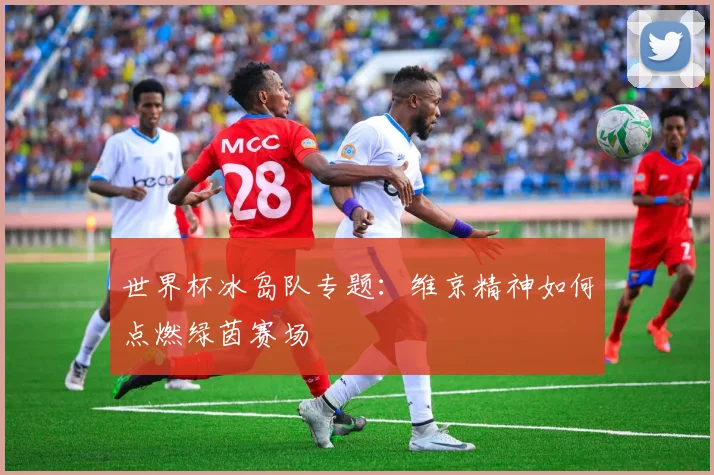 世界杯冰岛队专题：维京精神如何点燃绿茵赛场