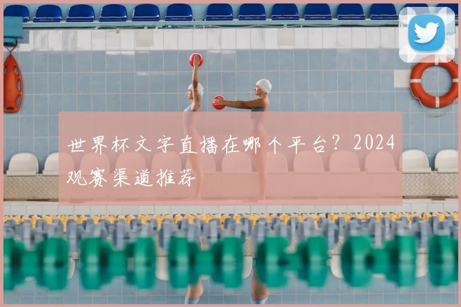 世界杯文字直播在哪个平台?2024观赛渠道推荐